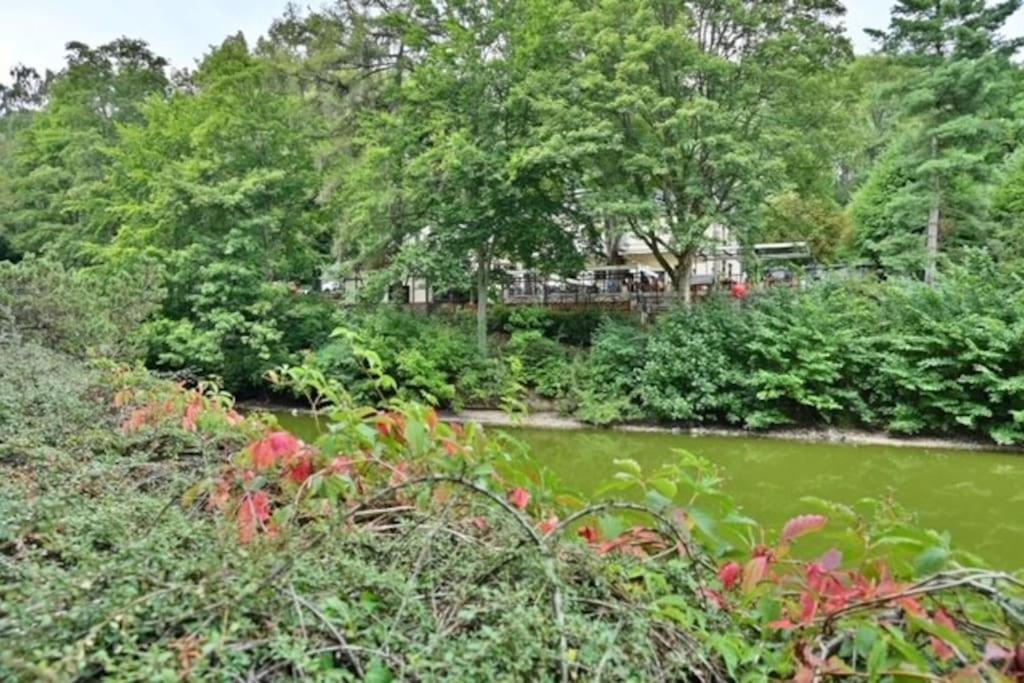 Krizikova 4 Leilighet Karlovy Vary Eksteriør bilde